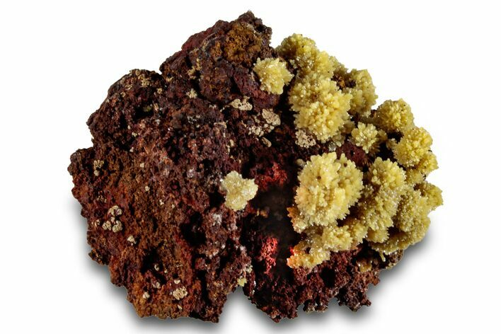 Mimetite Crystal Clusters on Limonitic Matrix - Mexico #261934